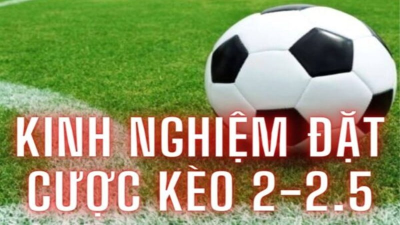 Kinh nghiệm khi chơi cá cược tài xỉu 2-2.5